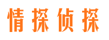 柳林侦探公司